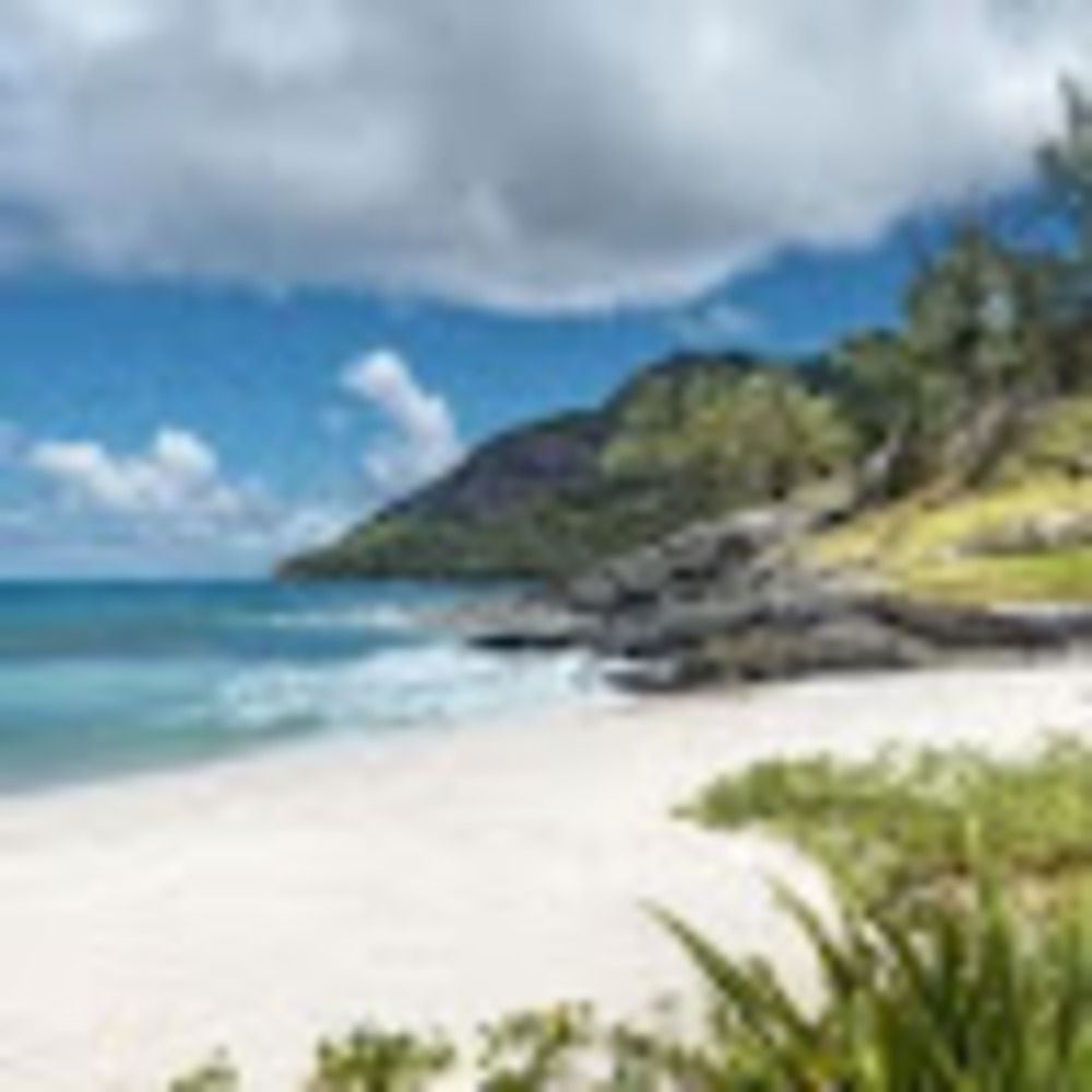 Meet your Posher, Carol